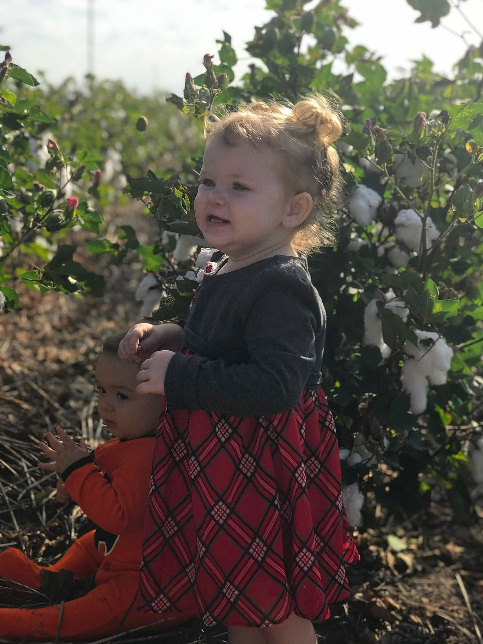 Alora joined the competition — help win amazing prizes! adaptation, apple, child, design, leaf, pattern, person, plaid, plant, smile, tartan, textile, toddler, tree