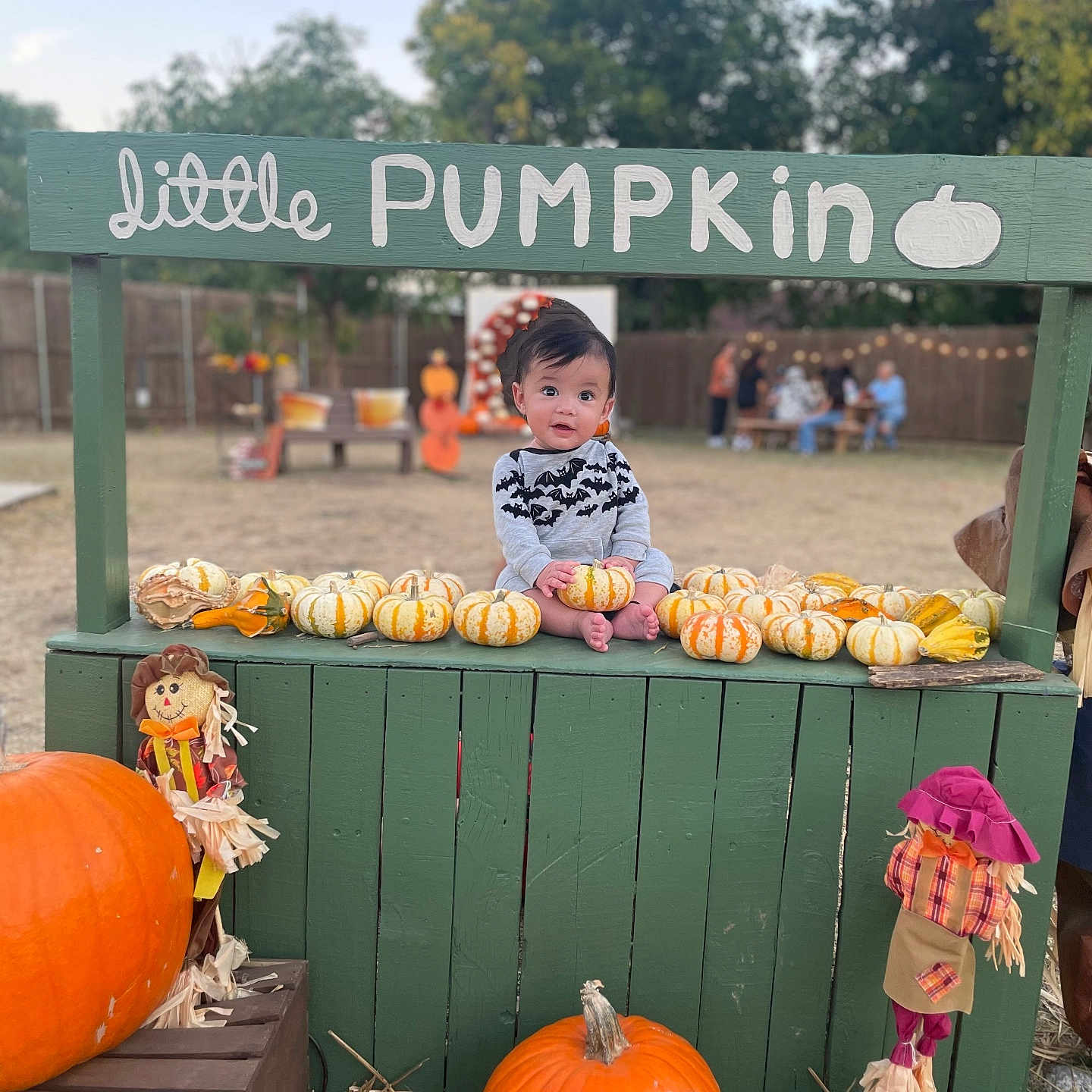 Santiago is registered to the contest to win money with this photo: baby, bench, bread, face, festival, food, furniture, grass, head, nature, outdoors, person, photography, plant, portrait, produce, pumpkin, sitting, squash, vegetable