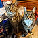 Oscar And Daisy