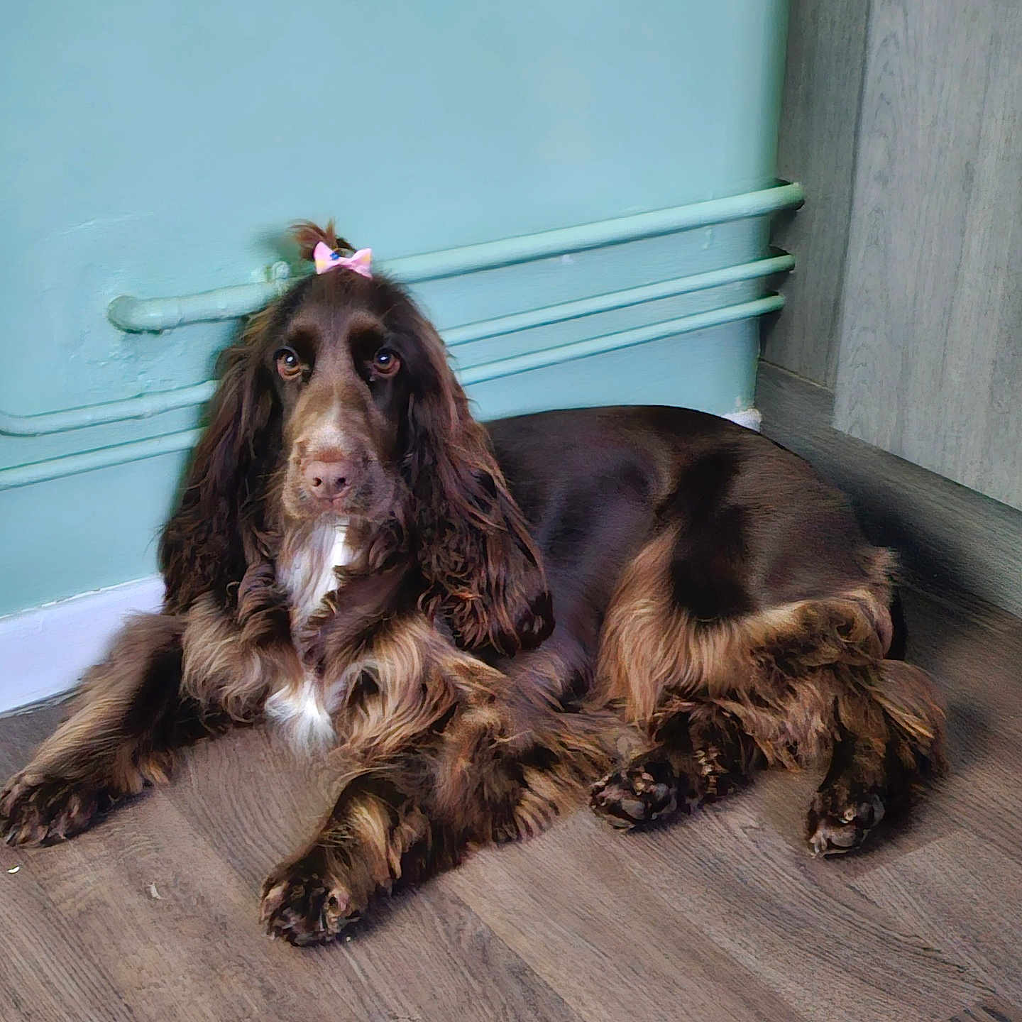 Nala