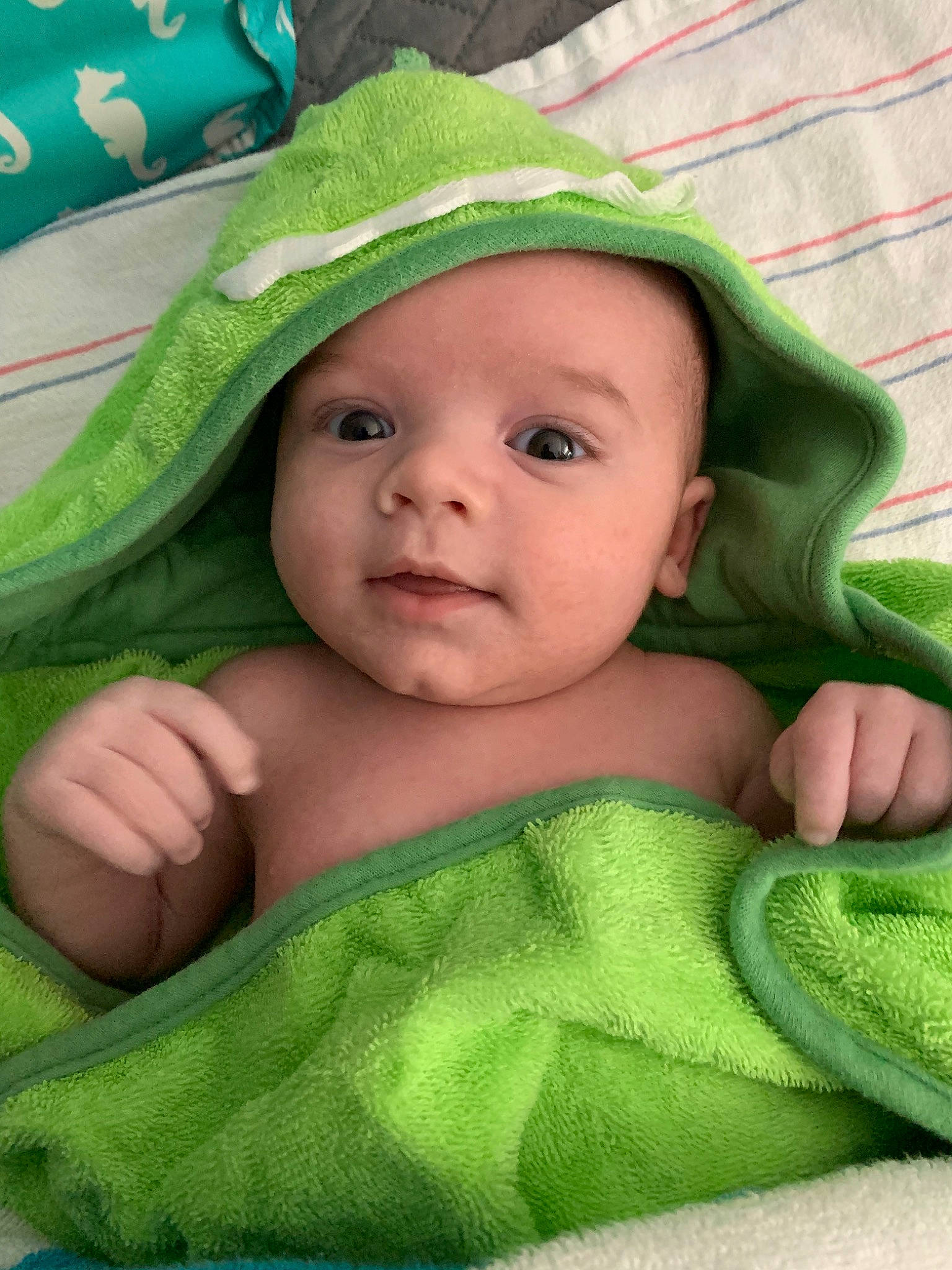 Fletcher joined the competition — help win amazing prizes! baby, blanket, cheek, child, green, headwear, linens, person, skin, smile, textile, toddler