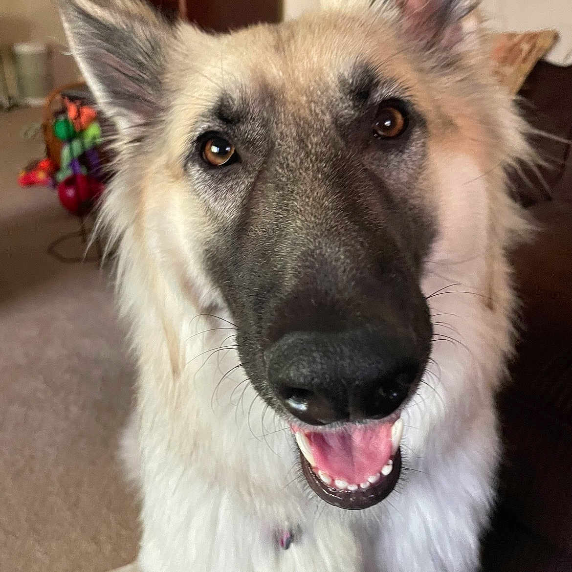 Greta