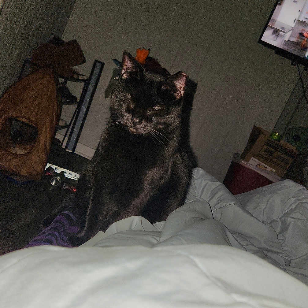 Gonji