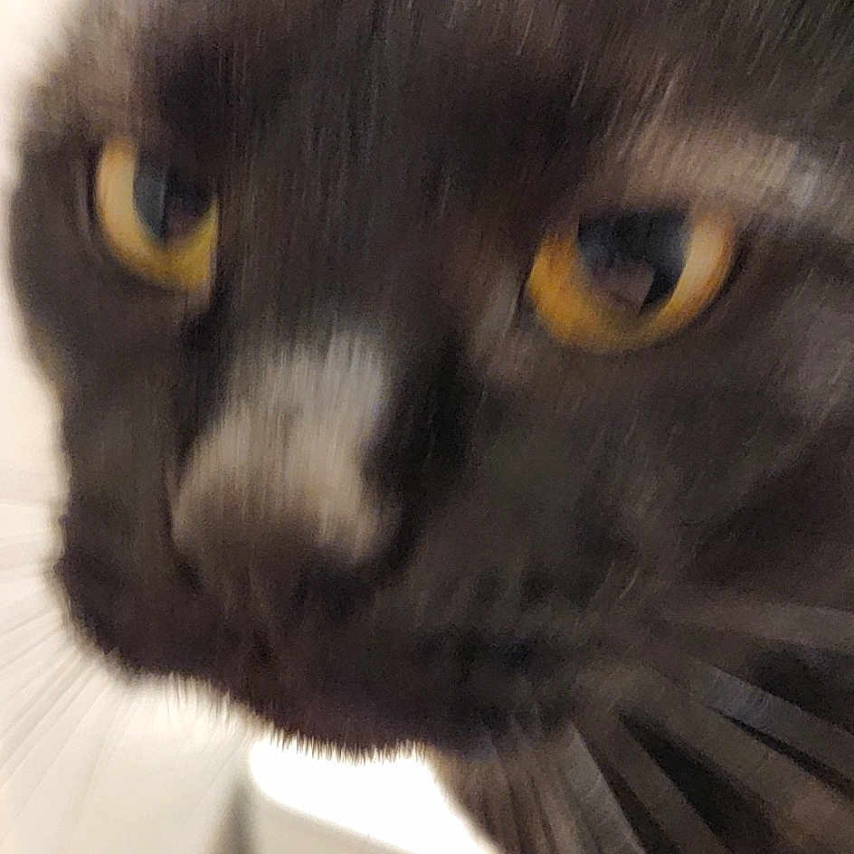 Gonji