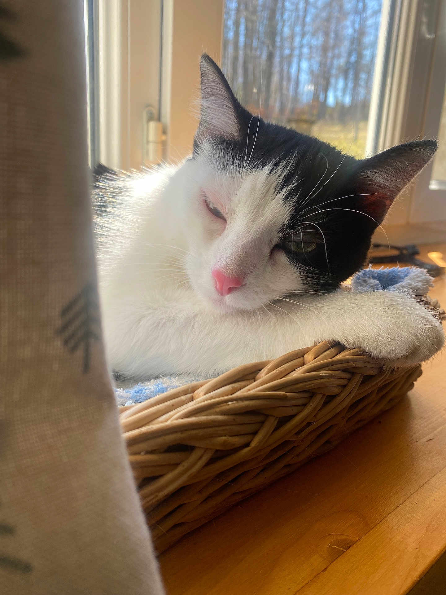 Suzie