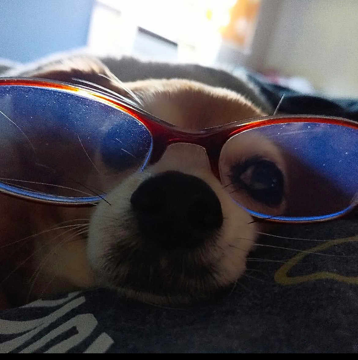 Roxie