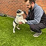 Blue joined the competition — help win amazing prizes! man, dog, puppy, grass, brick_wall, window, phone, crouching, outdoor, casual_clothing, beard, glasses, black_and_white_dog, interaction, pet, playing, daylight, collar, holding, curious