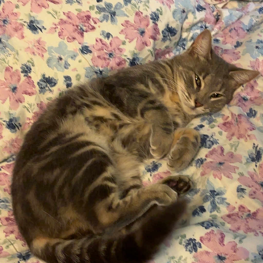 Winnie