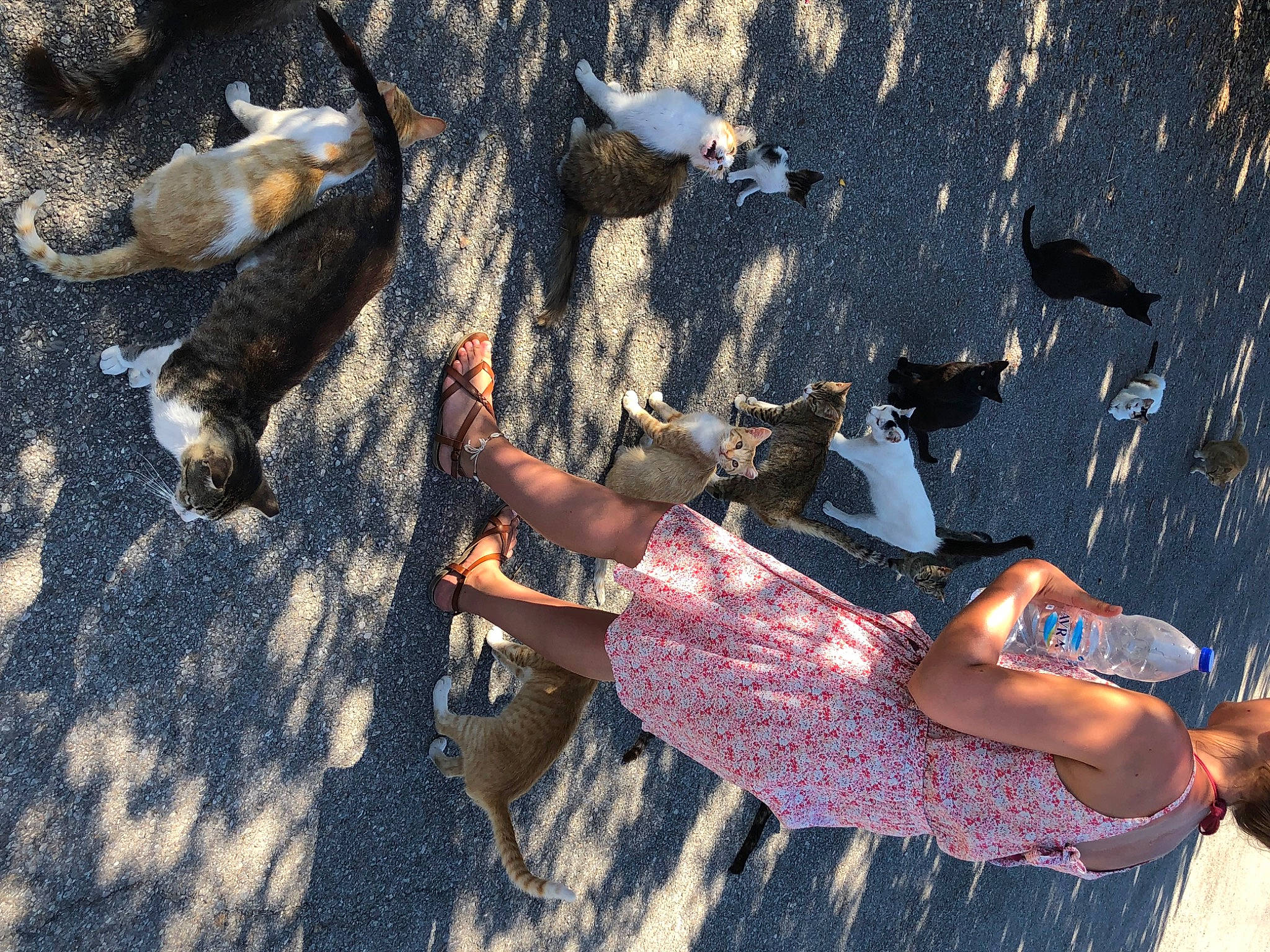 Mimi participe au concours pour gagner de l'argent avec cette photo : barefoot, beach, calf, dress, foot, fun, human_leg, leg, leisure, people_in_nature, recreation, road_surface, sand, shadow, sidewalk, sitting, sun_tanning, thigh, toe, tree