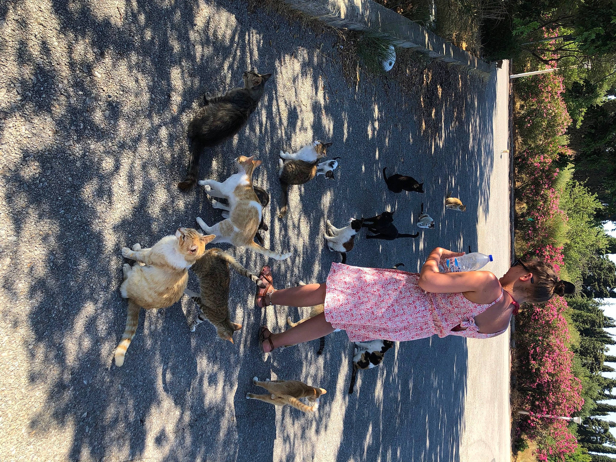 Mimi a rejoint le concours — aidez-le/la à gagner de superbes lots ! asphalt, bicycle_wheel, fun, grass, leisure, plant, recreation, reflection, road, shadow, sidewalk, sitting, soil, tints_and_shades, tree, wood