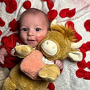 Leignston is registered to the contest to win money with this photo: baby, infant, face, red_shirt, stuffed_animal, toy, bull, plush, rose_petals, white_blanket, cuddle, child, cute, portrait, indoors, soft_texture, kiss_mark, hand, lying_down, expression