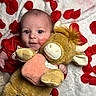 baby, infant, face, red_shirt, stuffed_animal, toy, bull, plush, rose_petals, white_blanket, cuddle, child, cute, portrait, indoors, soft_texture, kiss_mark, hand, lying_down, expression