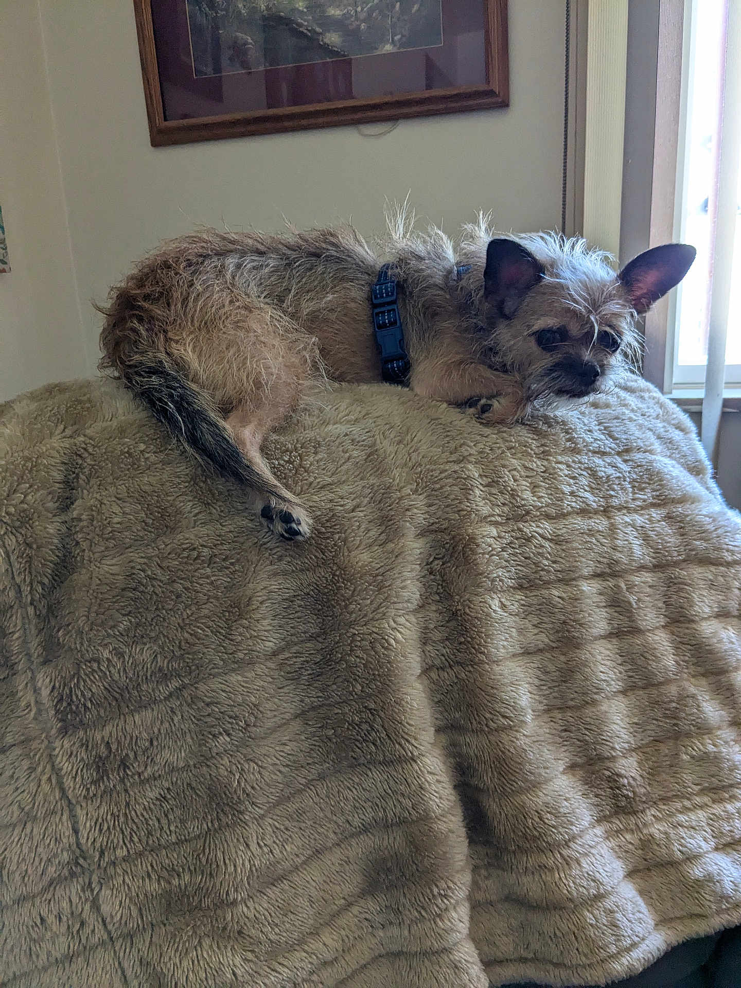 Maggie