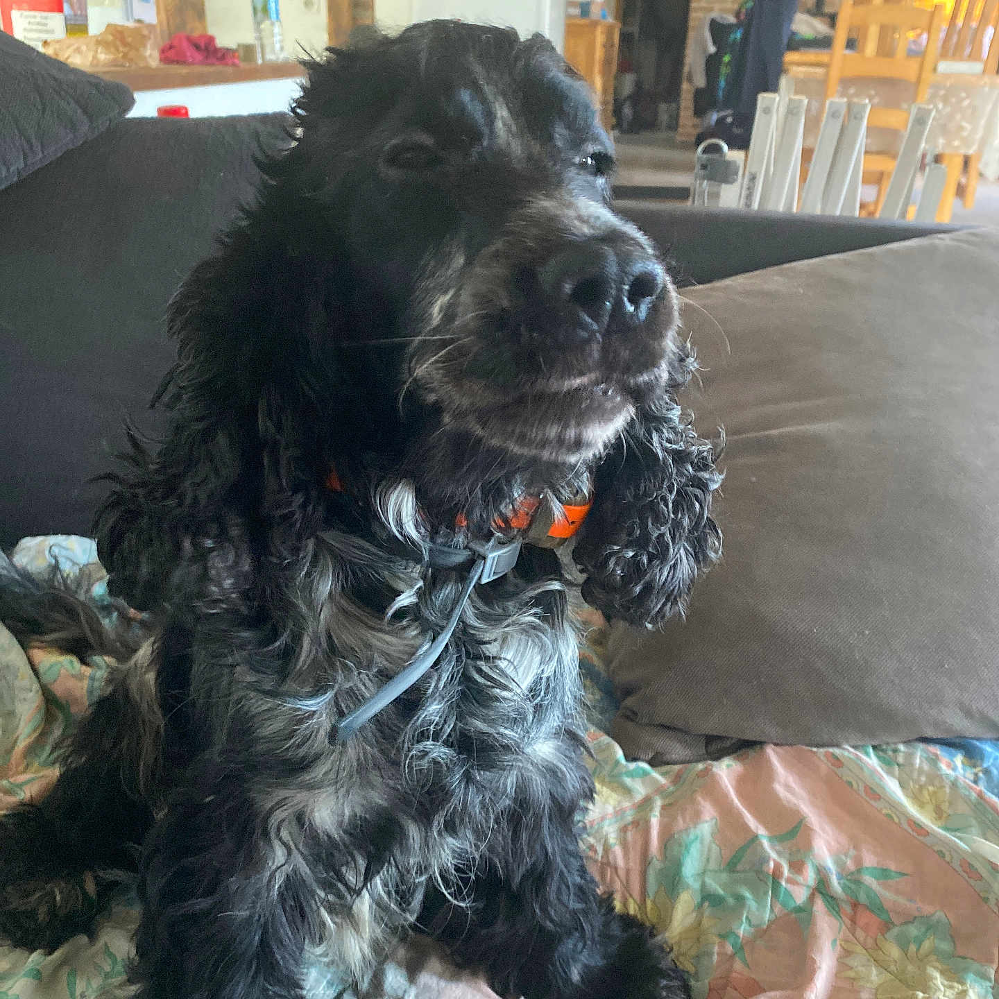 Mac