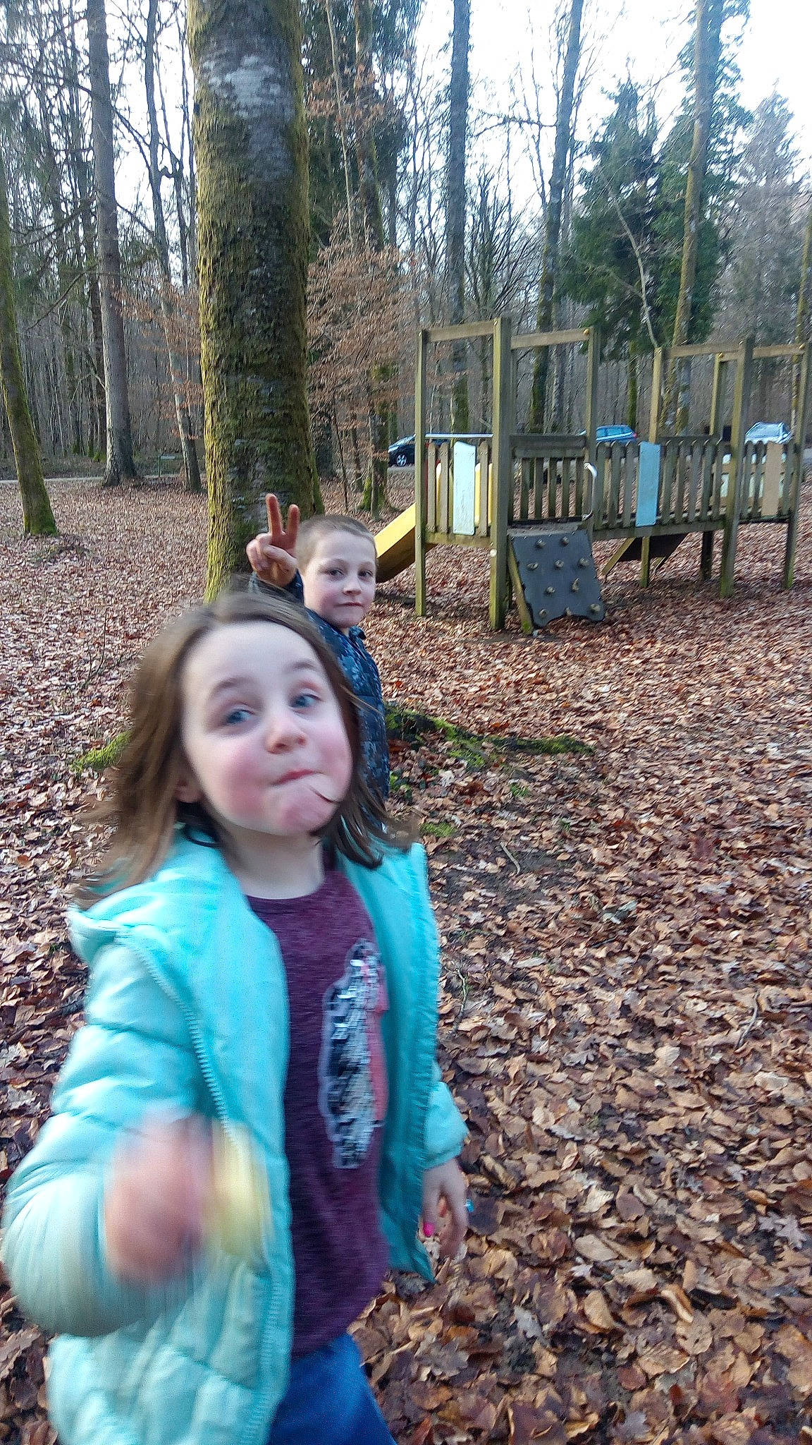 Aurelie participe au concours pour gagner de l'argent avec cette photo : autumn, child, fawn, forest, fun, grass, leaf, people, person, photography, plant, play, public_space, recreation, smile, state_park, toddler, tree, woodland