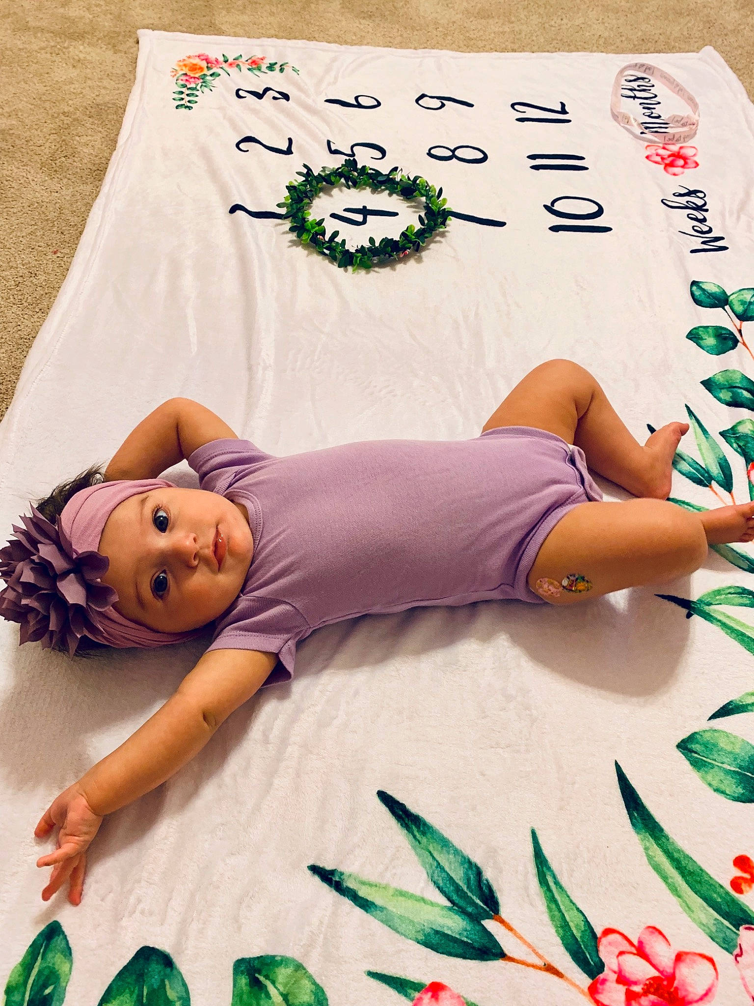 Tinsley is registered to the contest to win money with this photo: child, fictional_character, plant