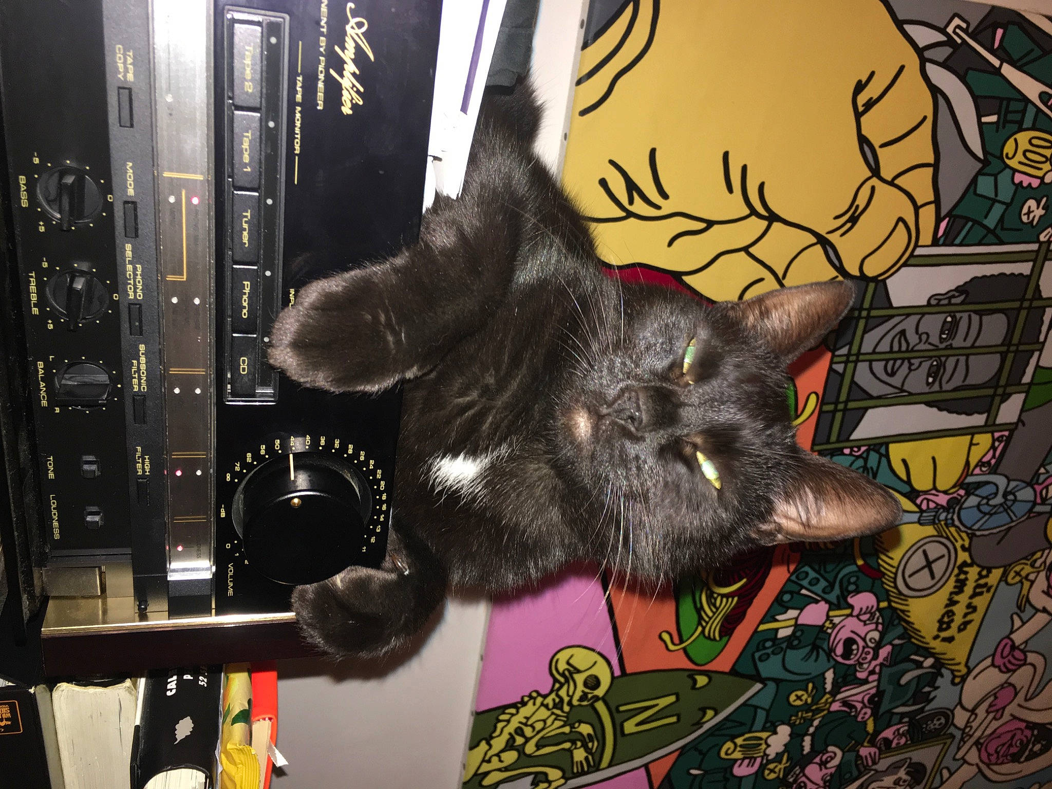 Lionel participe au concours pour gagner de l'argent avec cette photo : art, black_cat, canidae, carmine, claw, fashion_accessory, felidae, fictional_character, fur, illustration, metal, organism, paint, painting, small_to_medium_sized_cats, tail, triceratops, visual_arts, whiskers