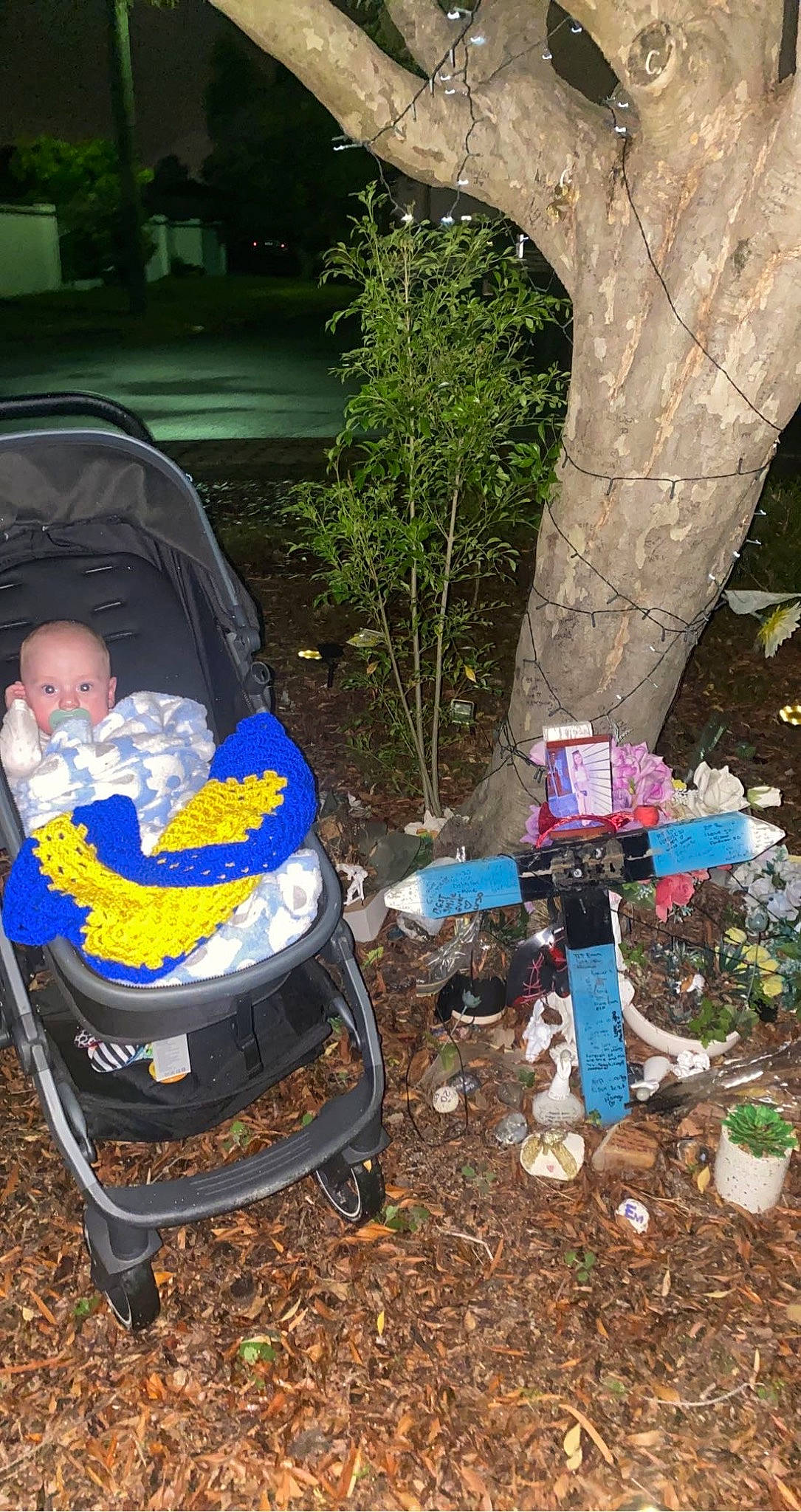 Kaelyn joined the competition — help win amazing prizes! baby, baby_products, chair, event, garden, grass, leisure, litter, person, plant, plastic, pollution, sitting, soil, toddler, tree, trunk, yard