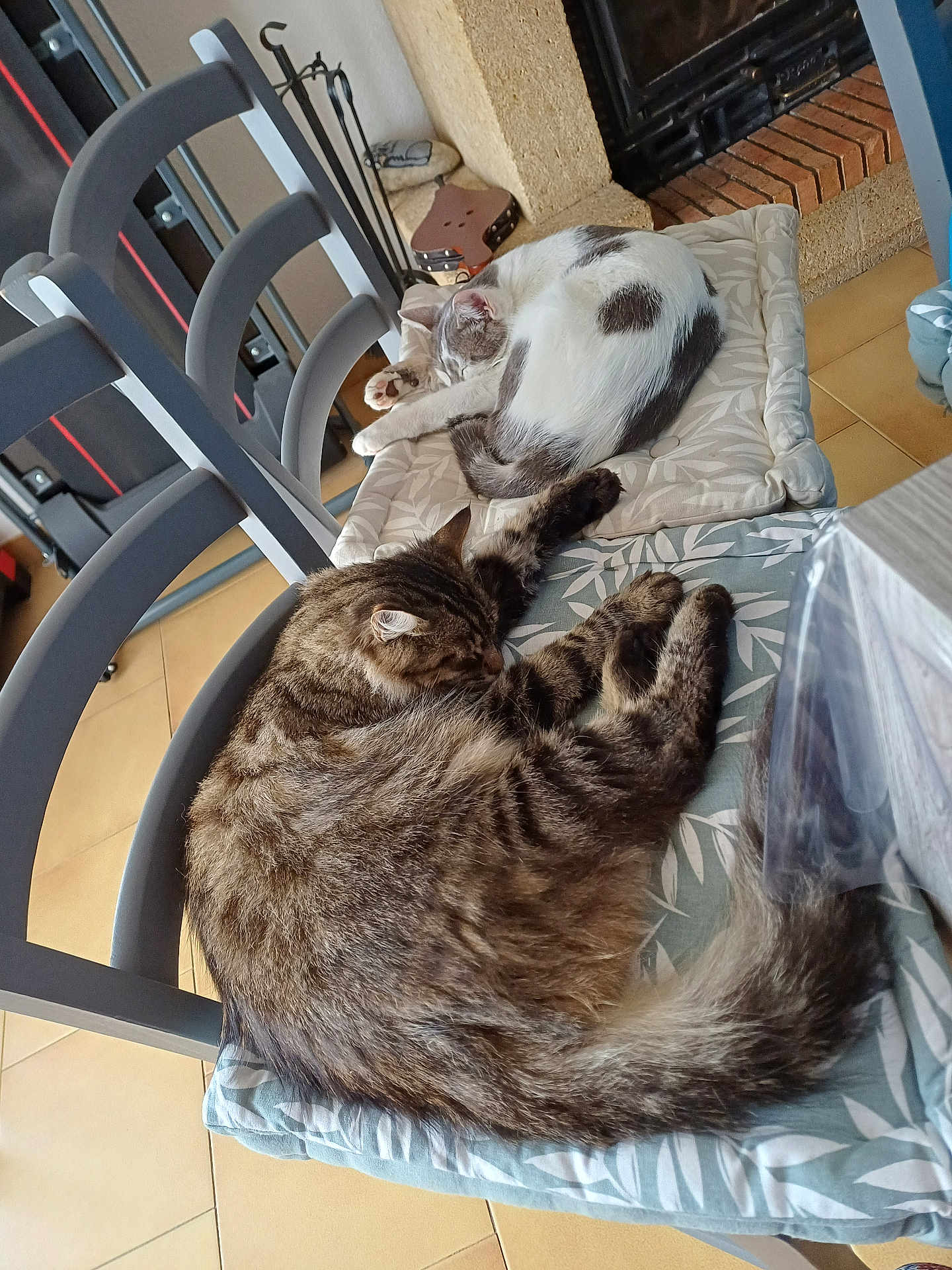 Tigrou
