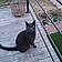 Thaly