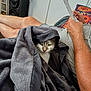 cat, blanket, person, arm, legs, reading, paper, couch, pillow, indoor, cozy, fur, grey, relaxing, curious, home, soft, comfort, leisure, pet