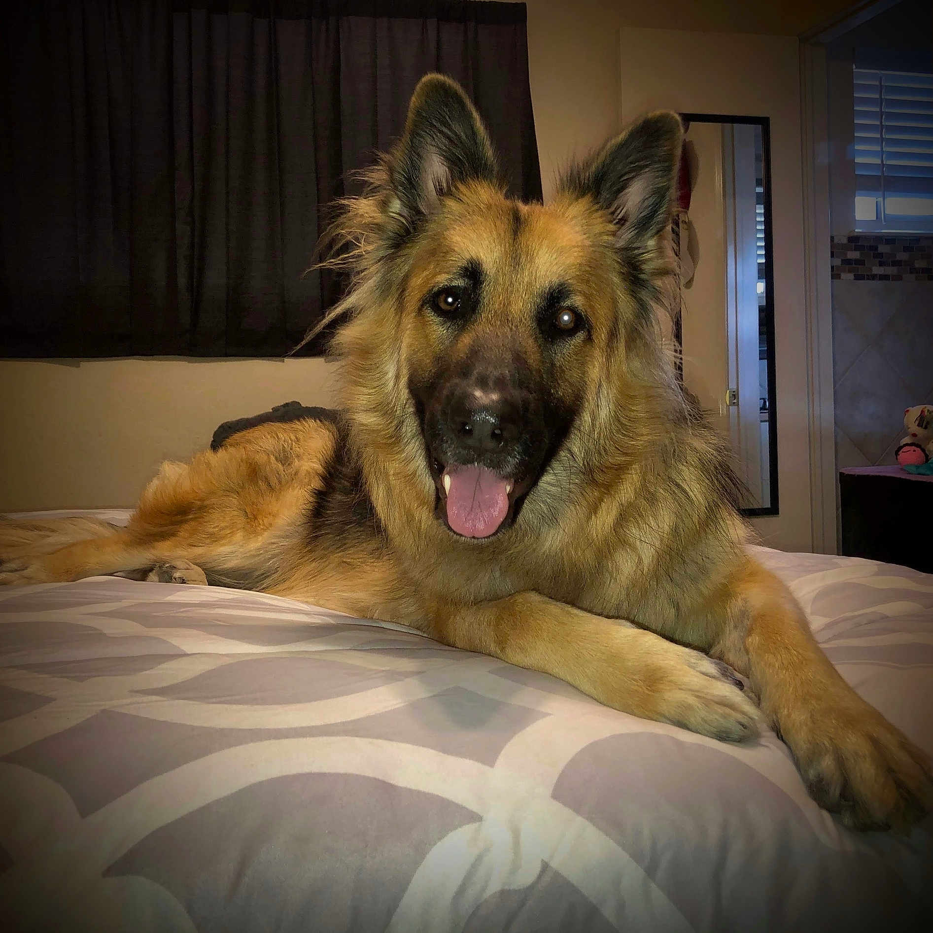 Callieann