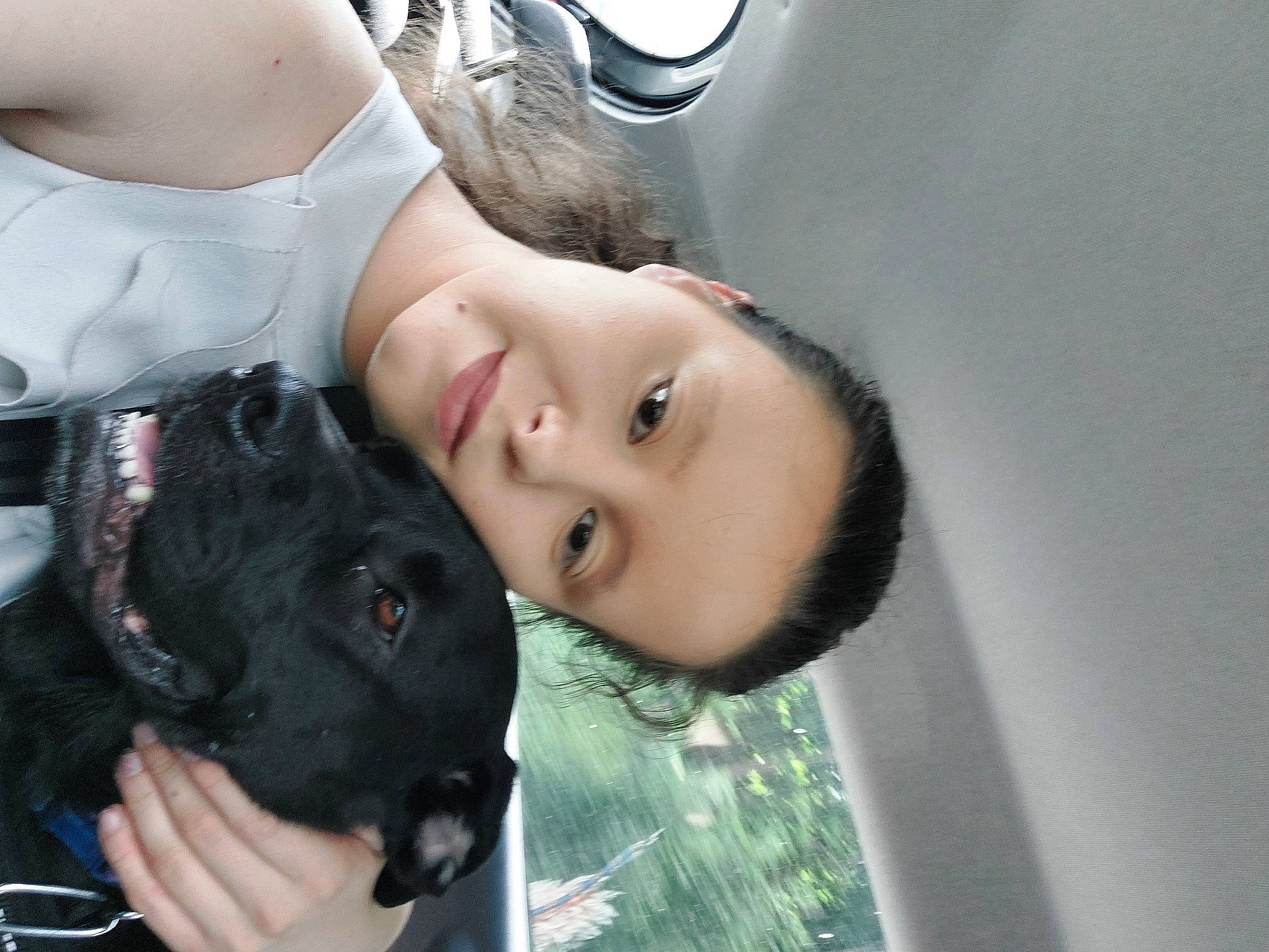 Pepita a rejoint le concours — aidez-le/la à gagner de superbes lots ! black_hair, canidae, carnivore, child, companion_dog, dog, dog_breed, eyelash, fawn, fun, fur, gesture, guard_dog, happy, skin, smile, snout, sporting_group, toddler, tree