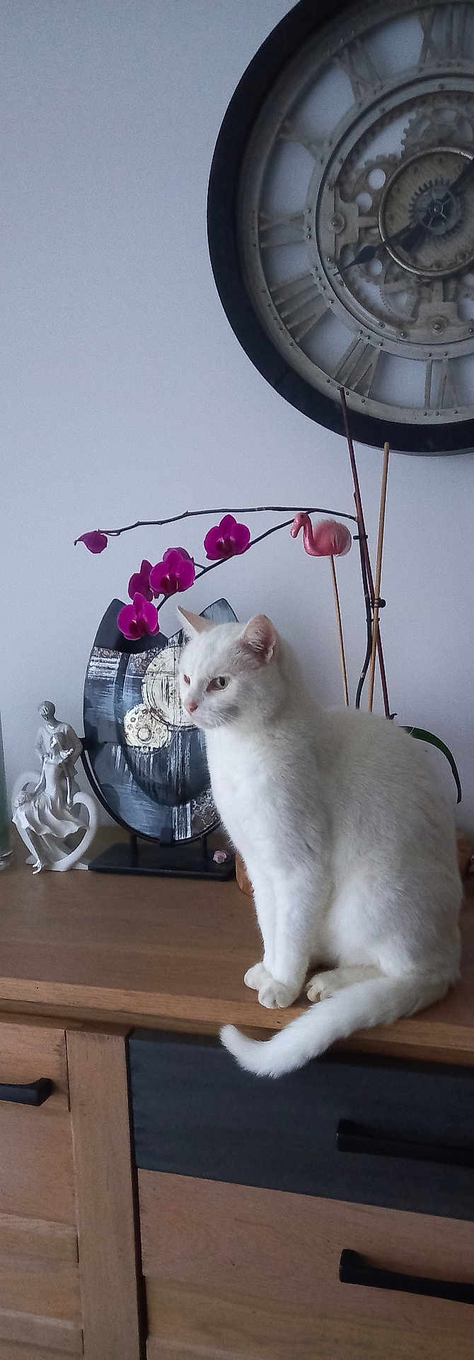 Mysti