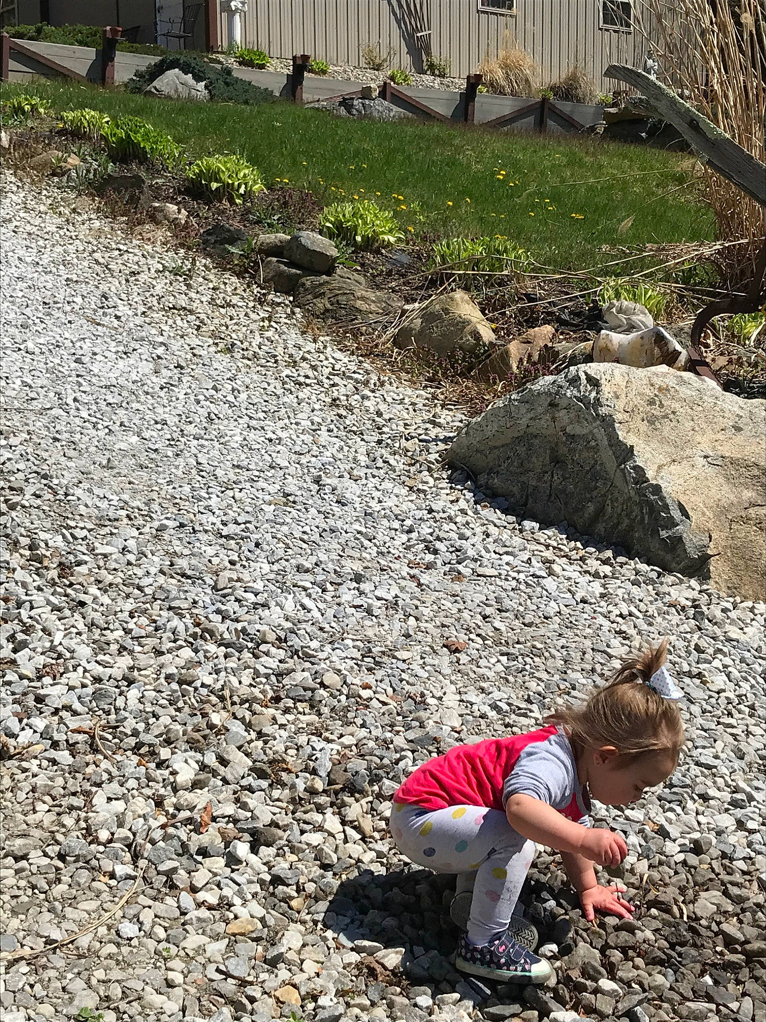 Adelina Marie joined the competition — help win amazing prizes! grass, gravel, pebble, person, plant, rock, rubble, soil