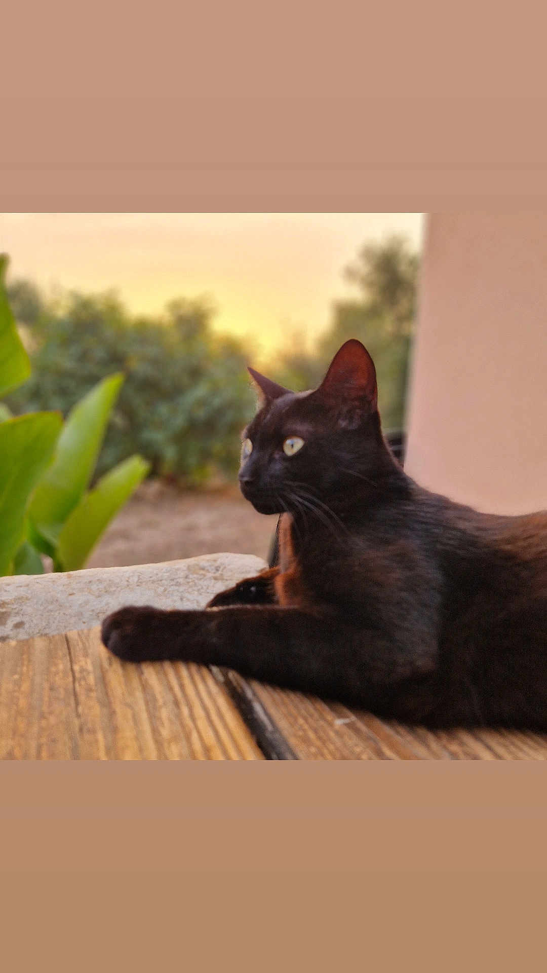 Salem