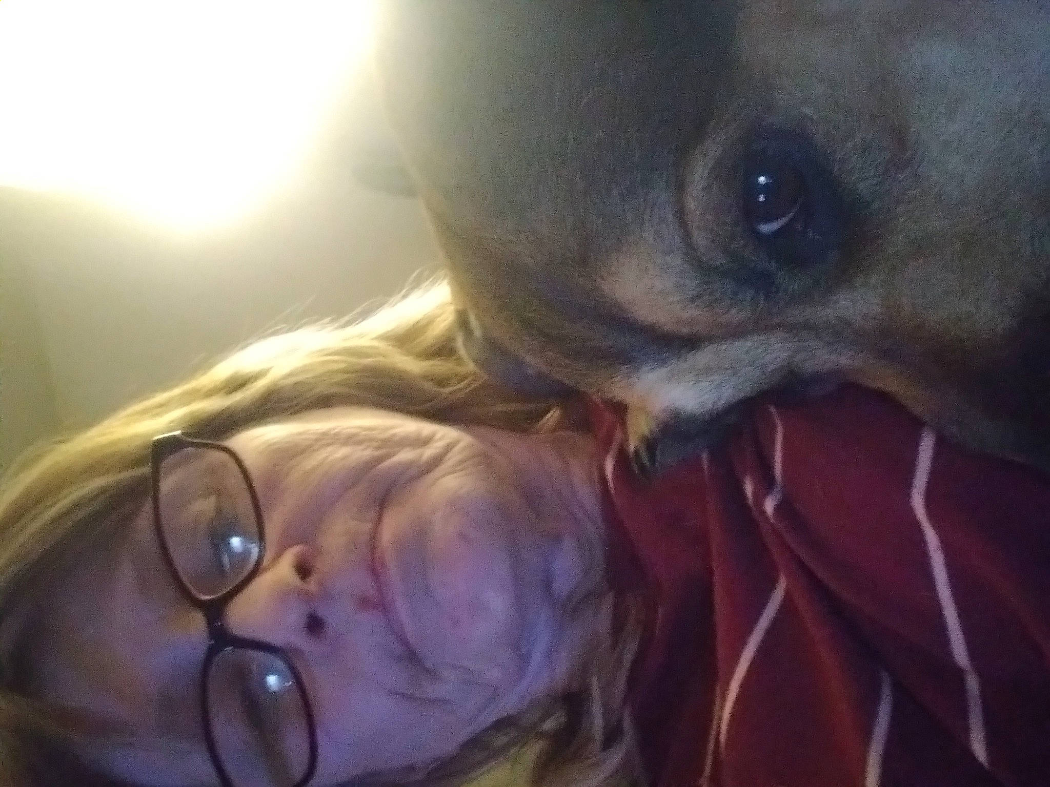 Hops is registered to the contest to win money with this photo: carnivore, child, close_up, companion_dog, ear, eye, eyebrow, eyelash, eyewear, gesture, glasses, happy, iris, nose, skin, sunglasses, toddler, vision_care, whiskers, wrinkle