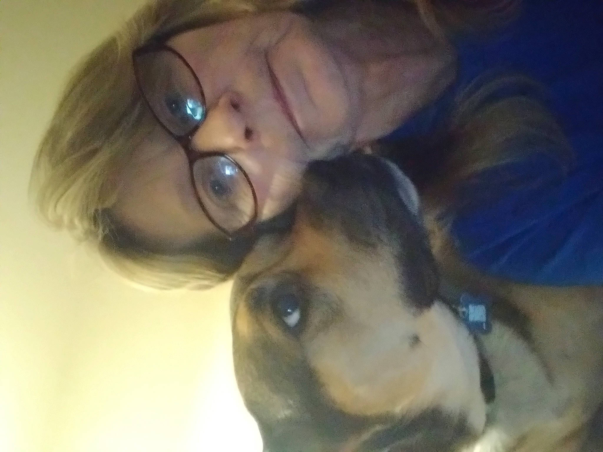 Hops joined the competition — help win amazing prizes! carnivore, cheek, comfort, companion_dog, dog, dog_breed, ear, eyelash, eyewear, fawn, gesture, glasses, happy, jaw, nose, organ, snout, vision_care, whiskers, working_animal