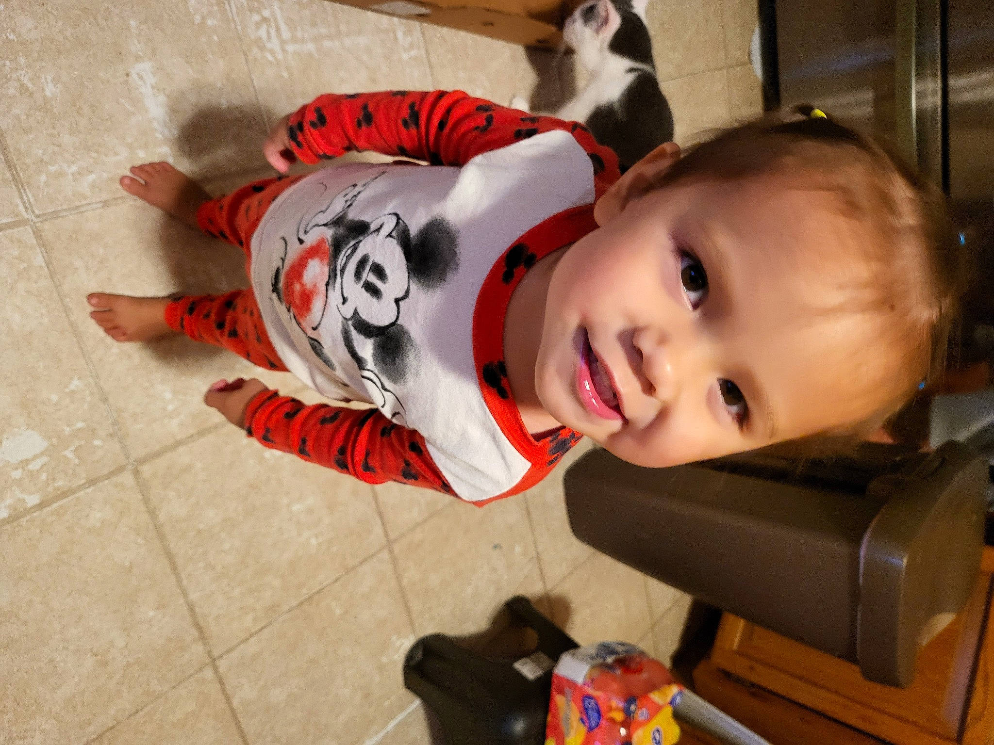 Ivory is registered to the contest to win money with this photo: baby, baby_products, baby_toddler_clothing, box, carmine, child, companion_dog, floor, flooring, fun, fur, happy, nose, person, room, sitting, smile, toddler, toy