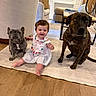 Andrea joined the competition — help win amazing prizes! baby, dog, french_bulldog, brindle_dog, living_room, rug, wood_floor, furniture, sofa, table, fireplace, decor, smiling, sitting, indoor, child, pet, cute, happy, person