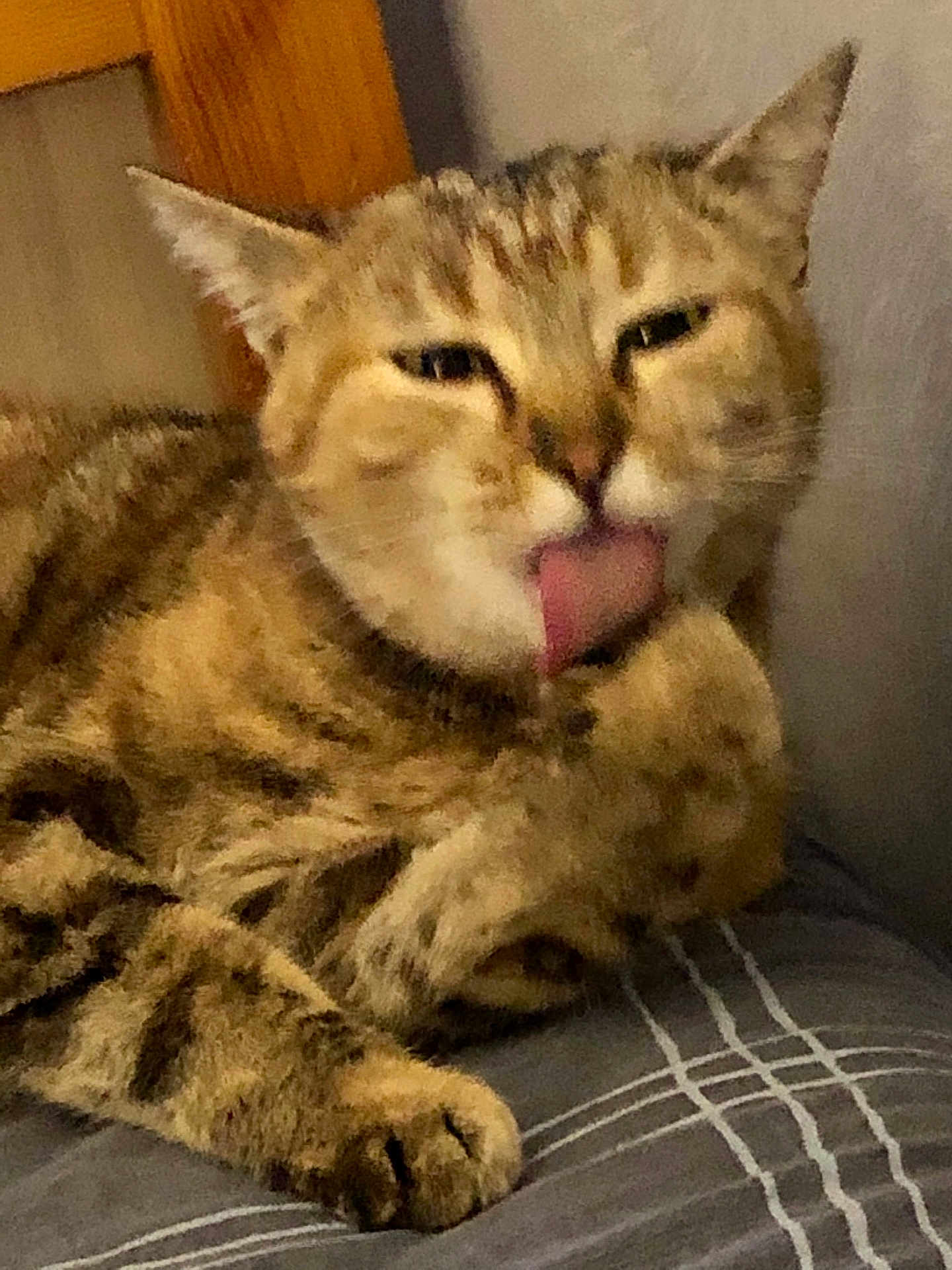 Kalia