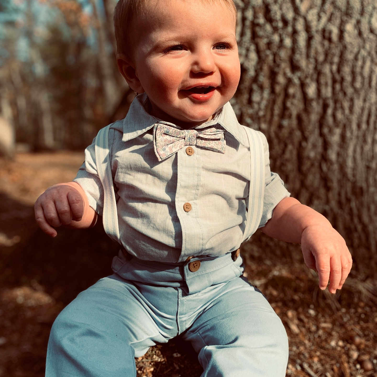 Arnold joined the competition — help win amazing prizes! toddler, child, boy, outdoor, tree, nature, sunlight, bow_tie, suspenders, shirt, pants, smile, happy, portrait, baby, face, hands, fashion, casual, sitting