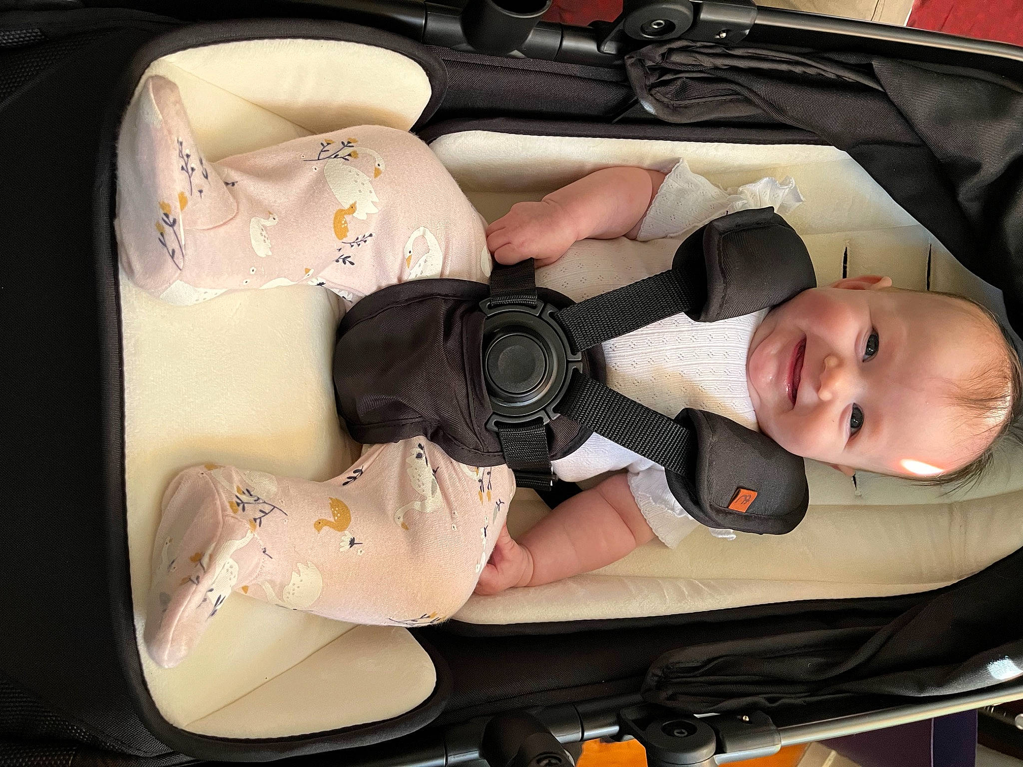 Bella joined the competition — help win amazing prizes! auto_part, automotive_design, automotive_exterior, baby, baby_carriage, baby_products, car, car_seat, comfort, family_car, fun, joy, luxury_vehicle, motor_vehicle, person, personal_luxury_car, personal_protective_equipment, smile, toddler, toy
