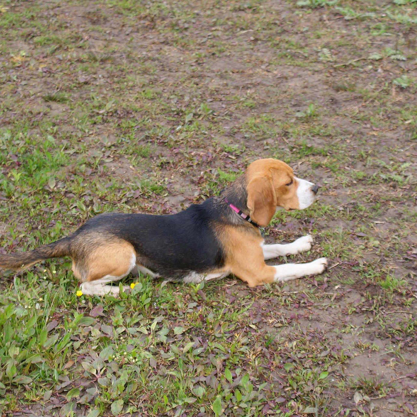 Holly participe au concours pour gagner de l'argent avec cette photo :