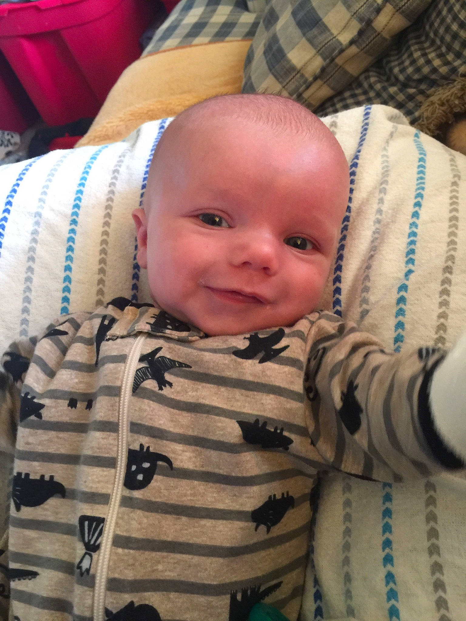 Mack joined the competition — help win amazing prizes! baby, cheek, child, eye, face, head, joy, mouth, nose, person, skin, toddler