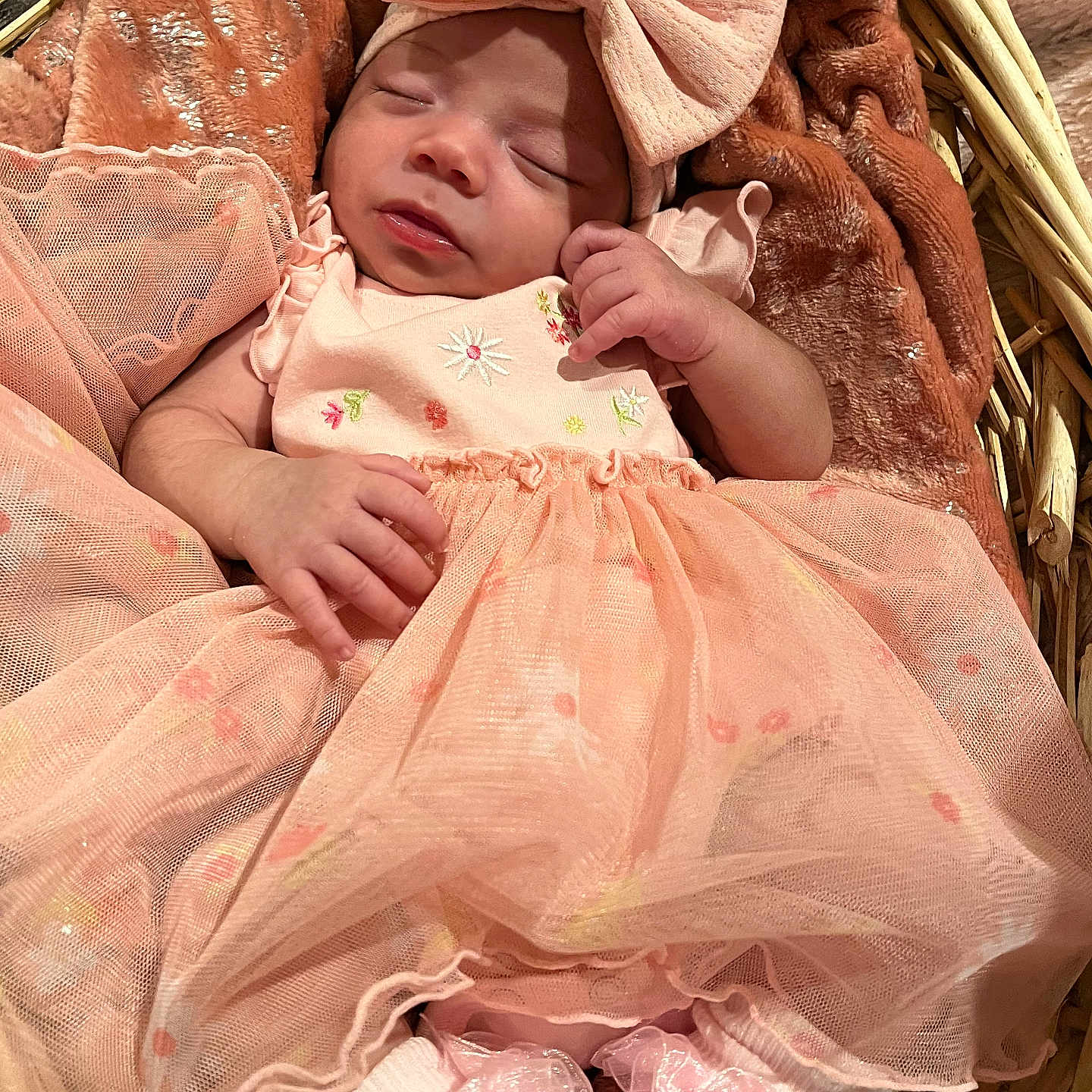 Nova is registered to the contest to win money with this photo: baby, basket, blanket, bow, child, clothing, cozy, cute, fabric, feet, hands, headband, infant, newborn, pink_dress, portrait, resting, sleeping, soft_texture, tulle