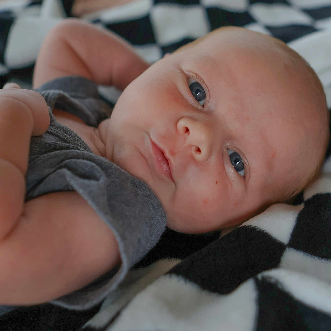 Lynnwood is registered to the contest to win money with this photo: baby, blanket, blue_eyes, checkered, child, close_up, clothing, cute, expression, face, gray_shirt, indoors, infant, lying_down, newborn, portrait, resting, skin, soft_light, young