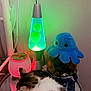 Mitchi Contreras is registered to the contest to win money with this photo: cat, fluffy, lava_lamp, plush_toy, octopus, glass_table, reflection, indoor, nighttime, ambient_lighting, decor, cute, cozy, animal, feline, soft, colorful, tabletop, curious, home