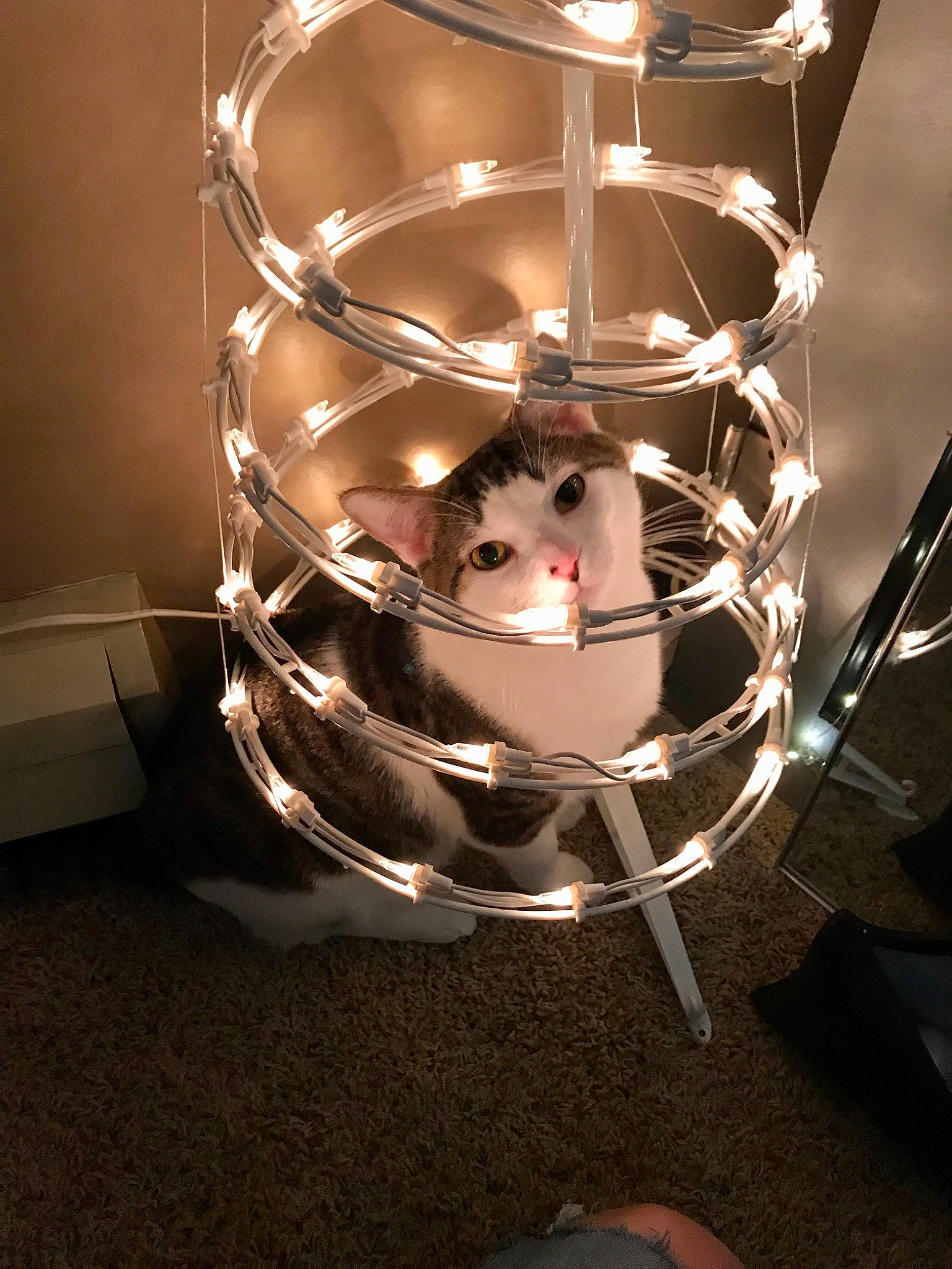 Gideon is registered to the contest to win money with this photo: art, automotive_lighting, barware, ceiling_fixture, circle, darkness, drinkware, fashion_accessory, glass, lamp, lampshade, light_bulb, light_fixture, liquid, metal, ornament, personal_protective_equipment, stemware, still_life_photography, transparent_material