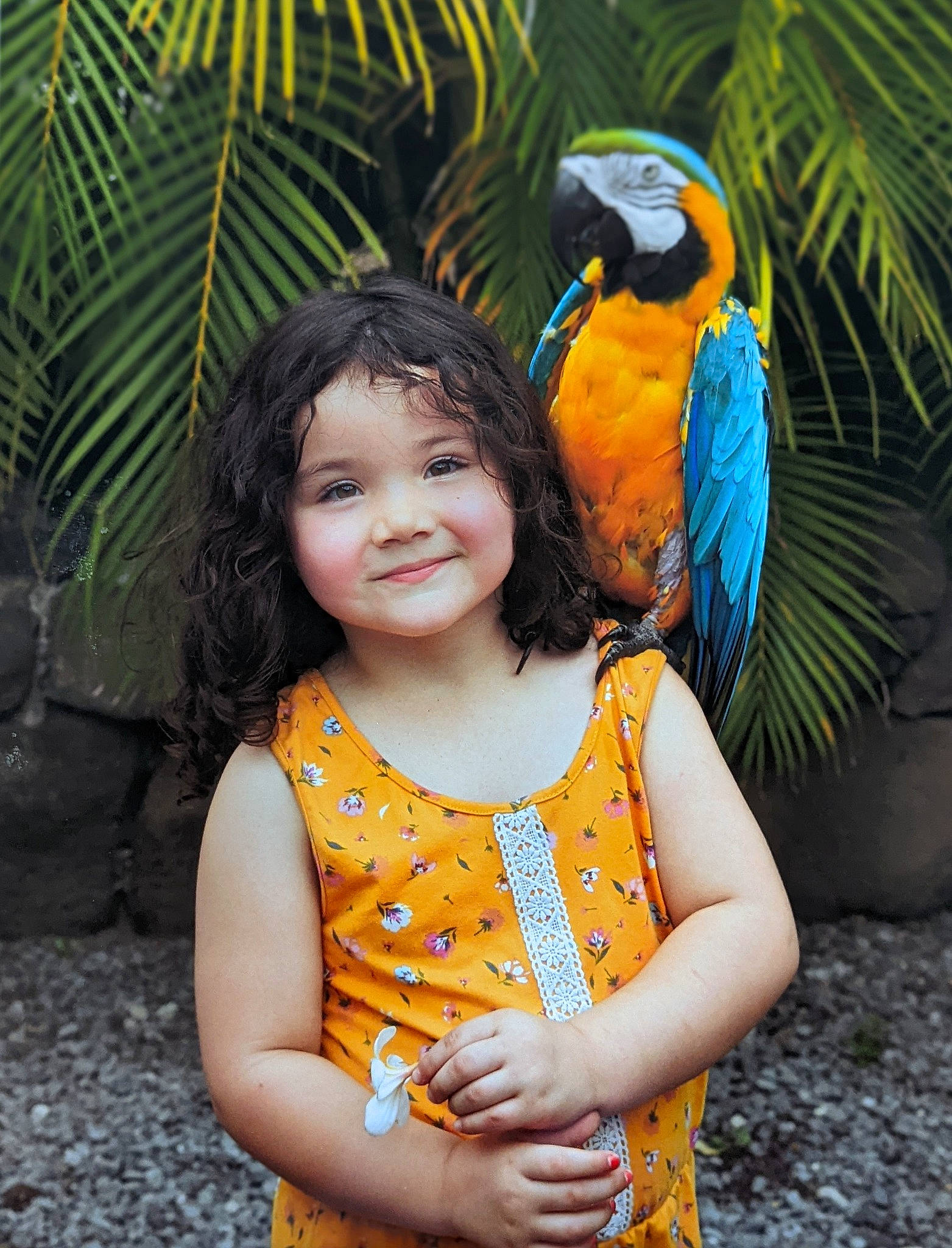 Annette is registered to the contest to win money with this photo: bird, botany, dress, eye, face, facial_expression, happy, head, iris, joy, leaf, macaw, nature, organ, people_in_nature, person, plant, skin, smile, tree