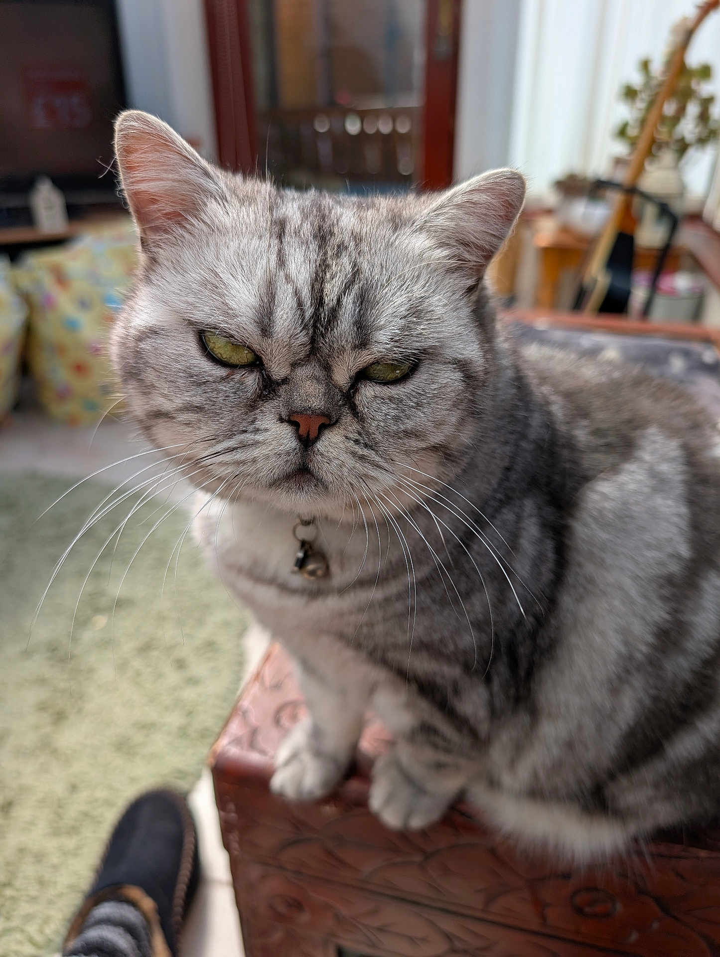 Rosie
