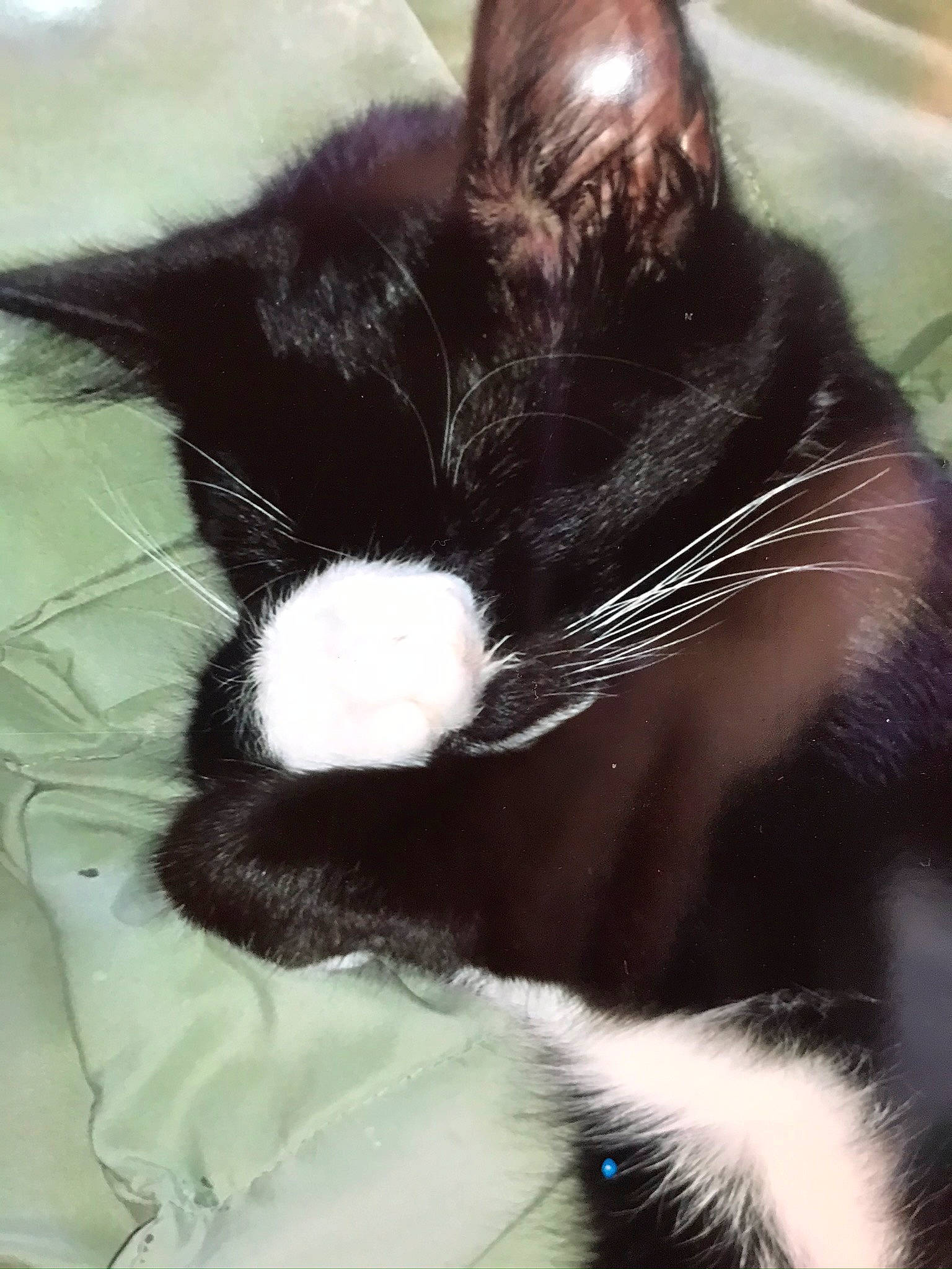 Amber