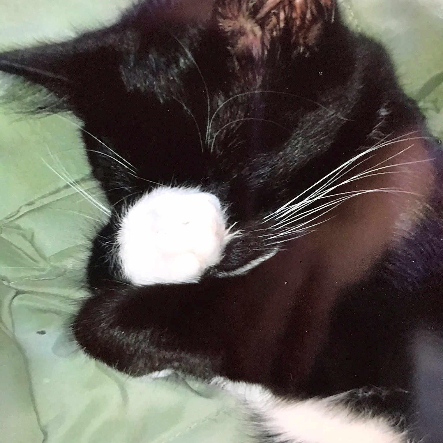 Amber