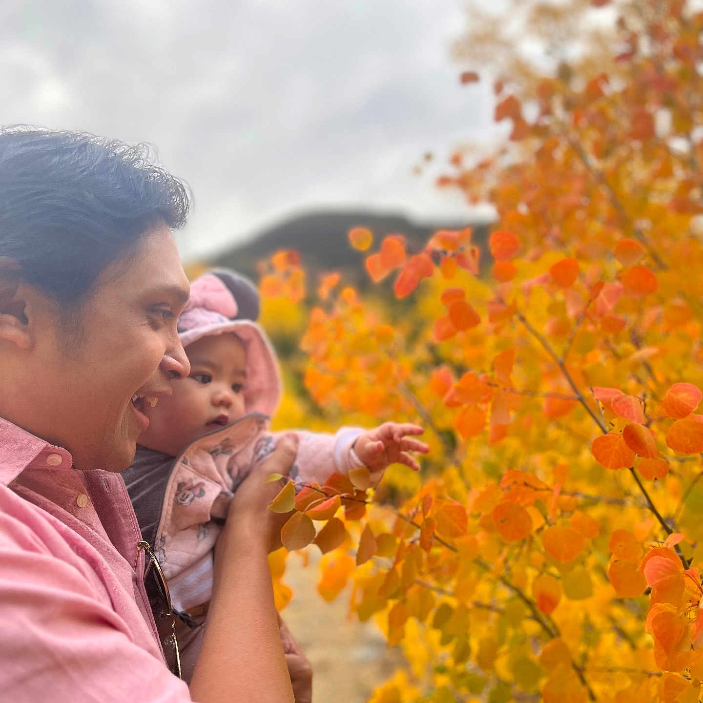 Cabrine is registered to the contest to win money with this photo: adult, autumn, baby, child, curious, fall, happy, holding, hoodie, leaves, nature, orange, outdoor, person, portrait, season, side_view, smiling, tree, yellow
