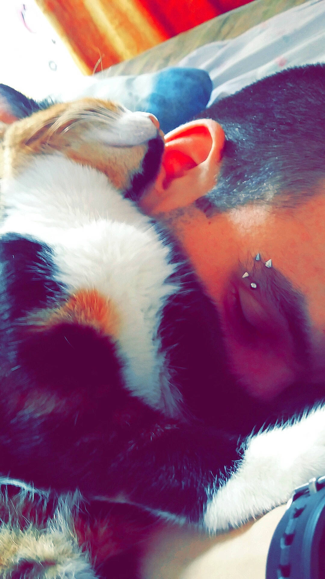 Capucine participe au concours pour gagner de l'argent avec cette photo : canidae, carnivore, ear, fur, nose, organ, tail