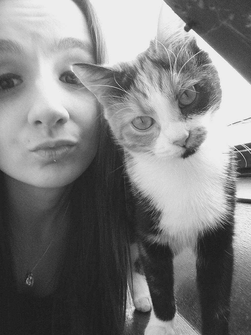 Capucine a rejoint le concours — aidez-le/la à gagner de superbes lots ! beauty, black_and_white, cat, eye, face, facial_expression, felidae, friendship, fur, head, monochrome, nose, organ, photography, selfie, small_to_medium_sized_cats, smile, snapshot, whiskers, white